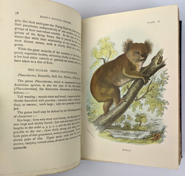 Lloyd's Natural History: Birds of Great Britain, British Mammalia, Carnivora, Game Birds, Lepidoptera, Marupialia and Monotremata (16 Volumes) - Image 9