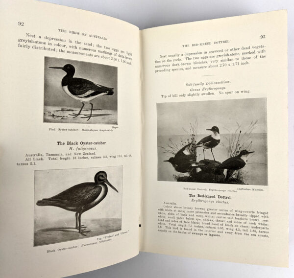 The Birds of Australia - Image 3