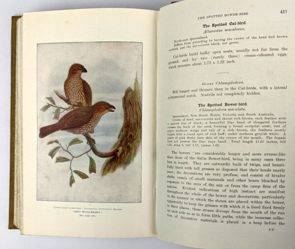The Birds of Australia - Image 4