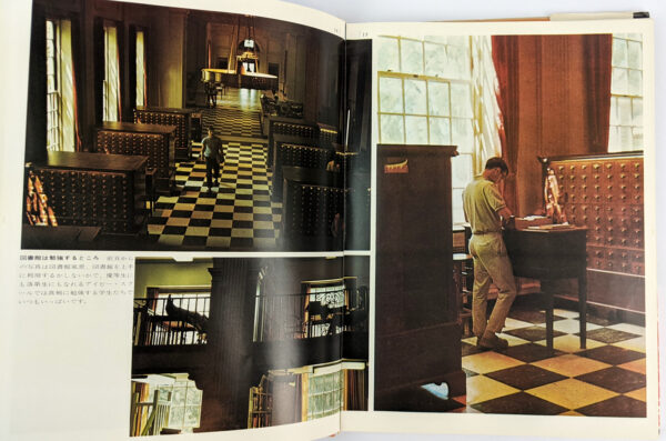 Take Ivy - Image 3