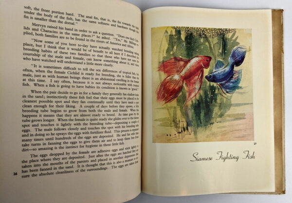 Mr. Billings' World of Tropical Fish - Image 2