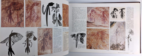 Bradshaw Art of the Kimberley - Image 3