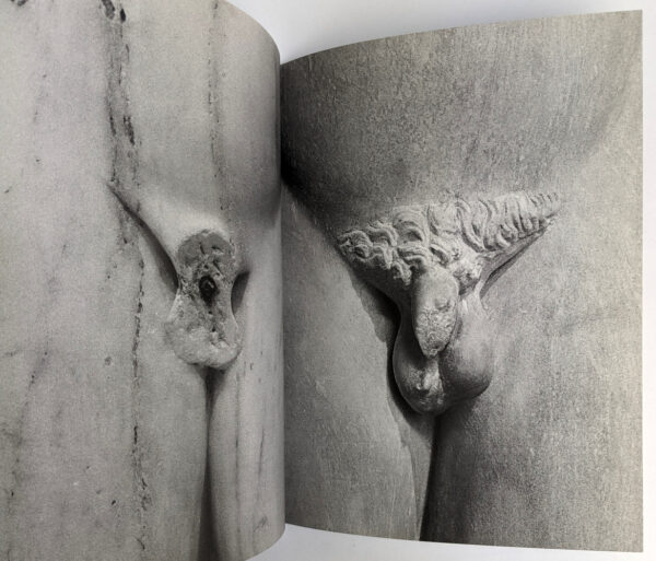 Masculinity - Image 4
