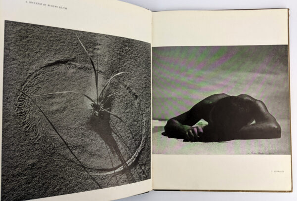 Max Dupain Photographs - Image 3