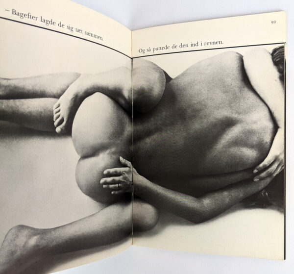 Ved du det? Mads og Anne snakker sammen [Show Me! A Picture Book of Sex for Children and Parents] - Image 4