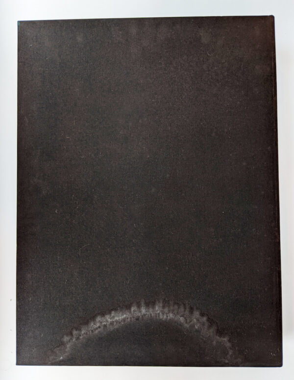 Pinxit XXL - Image 4