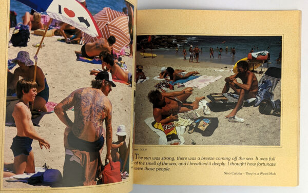 Life's a Beach II: The Adventure Continues - Image 3