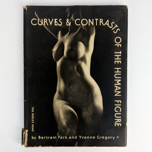 Curves & Contrasts of the Human Figure