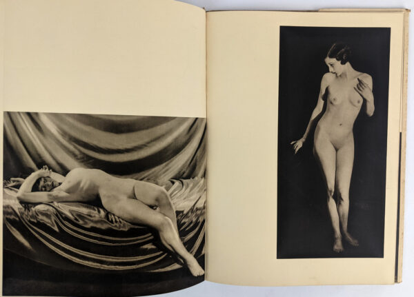Curves & Contrasts of the Human Figure - Image 2