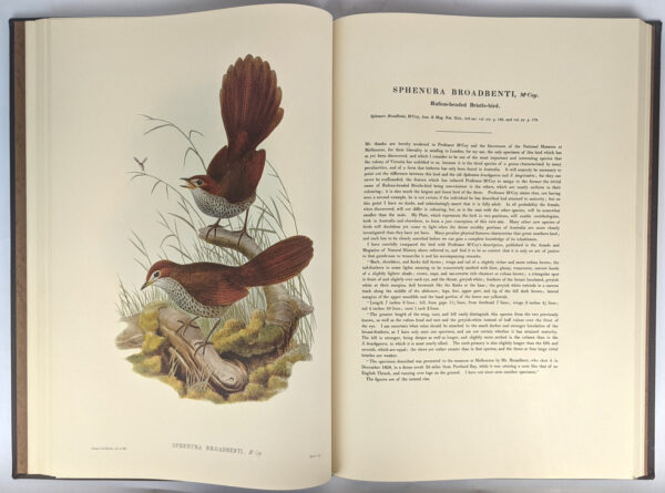 The Birds of Australia (8 Volumes + Handbook to) - Image 2