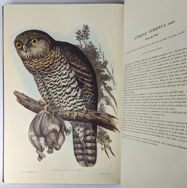 The Birds of Australia (8 Volumes + Handbook to) - Image 4