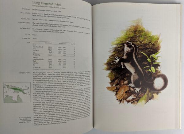 Possums of the World: A Monograph of the Phalangeroidea - Image 3