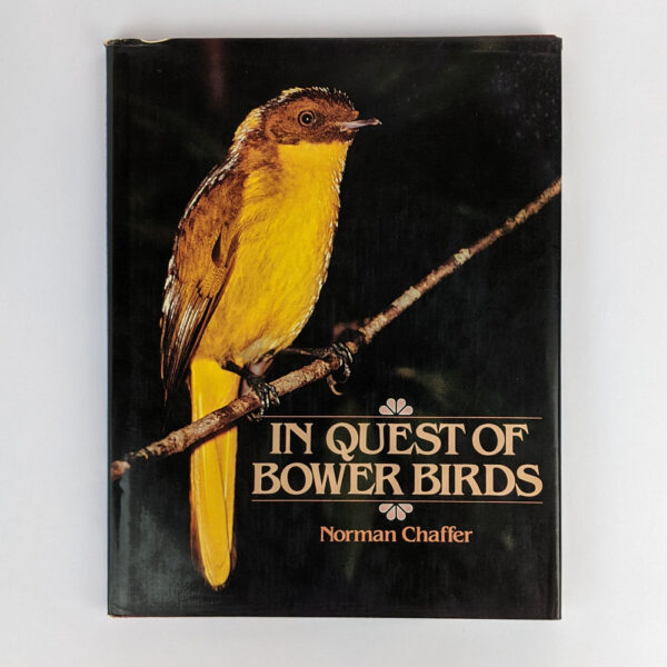 In Quest of Bower Birds