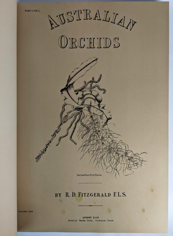 Australian Orchids (2 Volumes) - Image 6