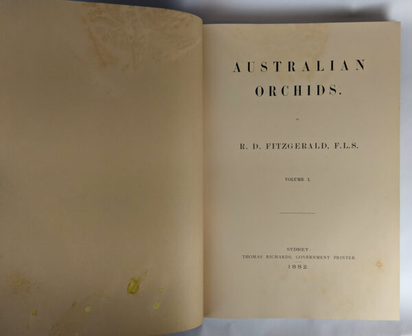 Australian Orchids (2 Volumes) - Image 7