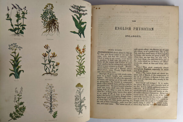 The Complete Herbal - Image 6