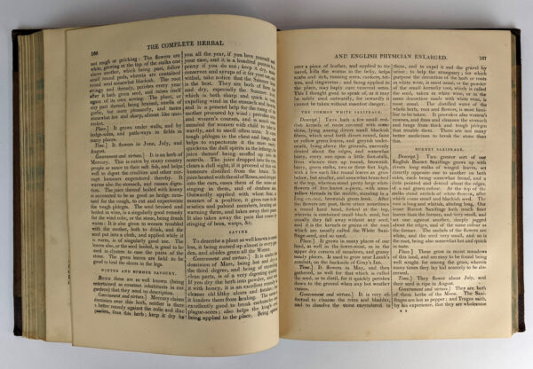 The Complete Herbal - Image 7