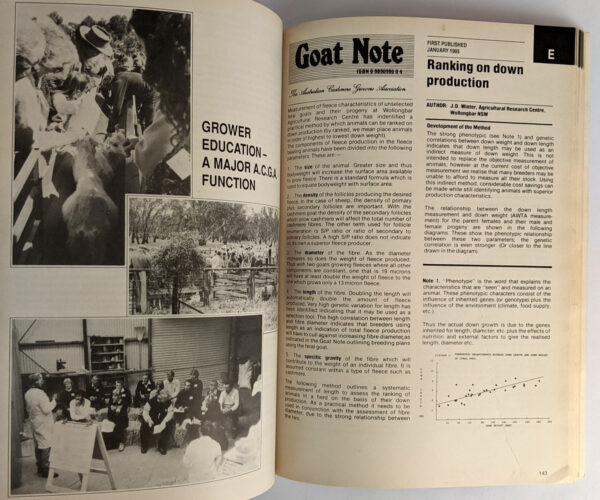 Cashmere Goat Notes - Image 2