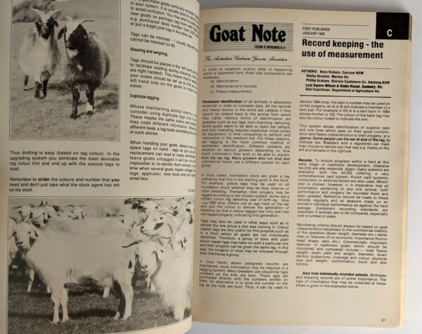 Cashmere Goat Notes - Image 3