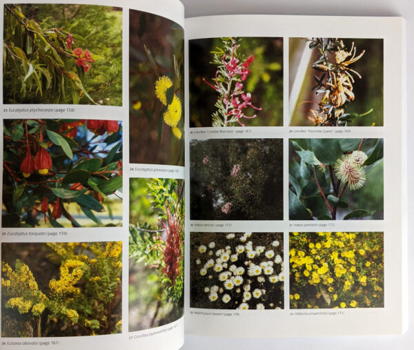Growing Australian Natives - Image 2