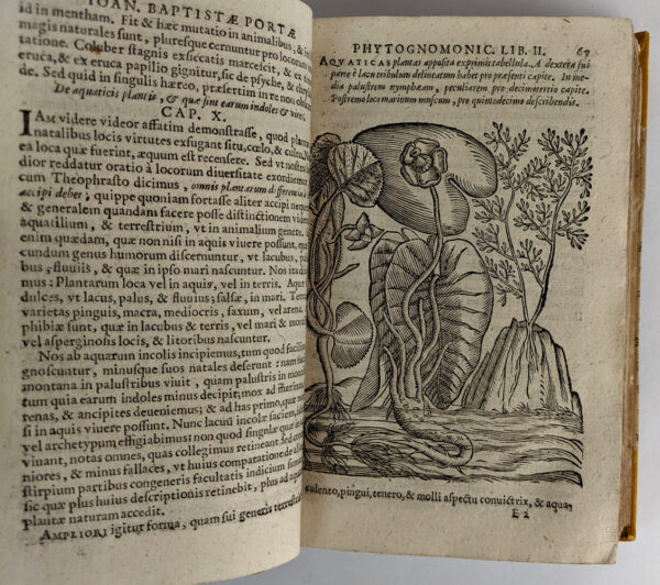 Phytognomonica Io Baptistae Portae, Neapolitani, Octo libris contenta; - Image 5