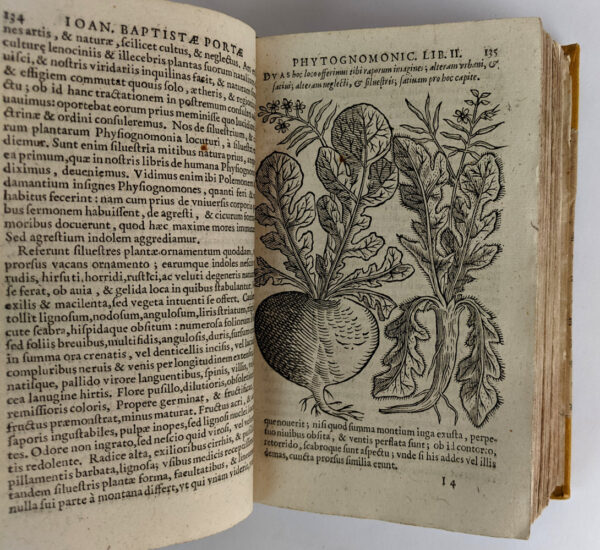 Phytognomonica Io Baptistae Portae, Neapolitani, Octo libris contenta; - Image 7