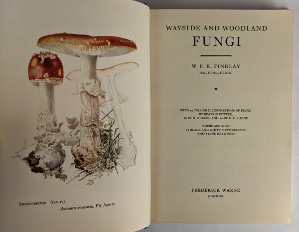Wayside and Woodland Fungi - Image 2
