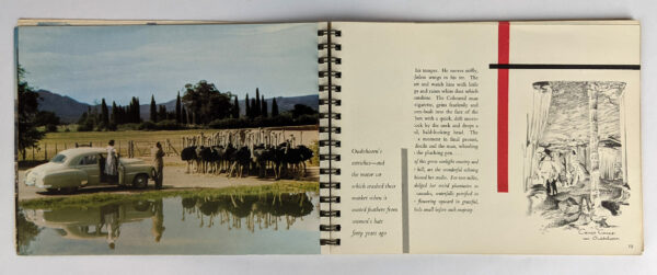 South Africa: An Impression for the Tourist - Image 3