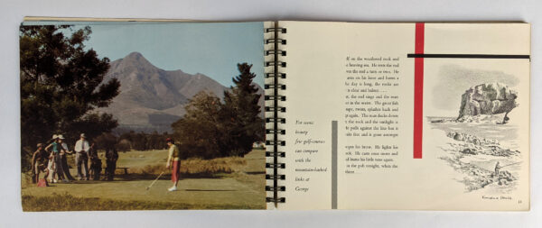 South Africa: An Impression for the Tourist - Image 4