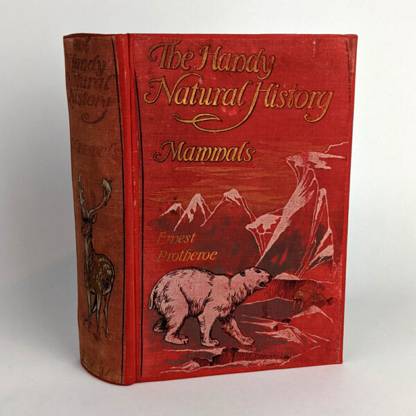 The Handy Natural History: Mammals