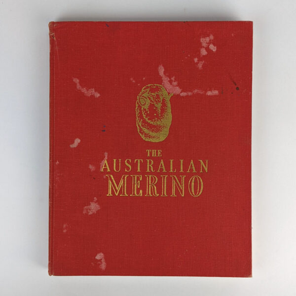 The Australian Merino