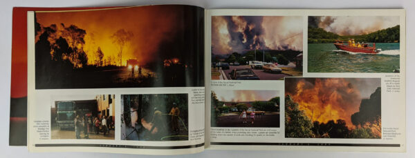New South Wales Burning - Image 2