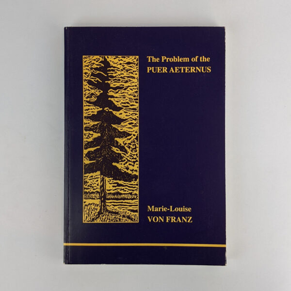 The Problem of Puer Aeternus