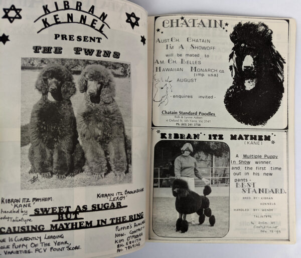 The Twenty-Fifth Silver Anniversary Championship Show and Restricted Obedience Trial - Image 2
