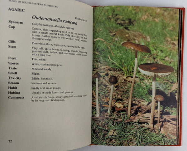 A Field Guide to Fungi of South-Eastern Australia - Image 2
