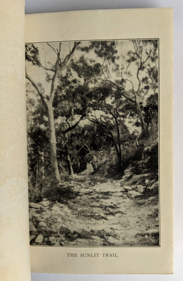 Sunlit Trails: A Bird-Watcher's Tramps and Camps in Australia - Image 2