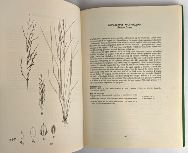 The Grasses of Southeast Queensland - Image 2