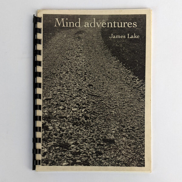 Mind Adventures: A Journey Through a Human Psyche