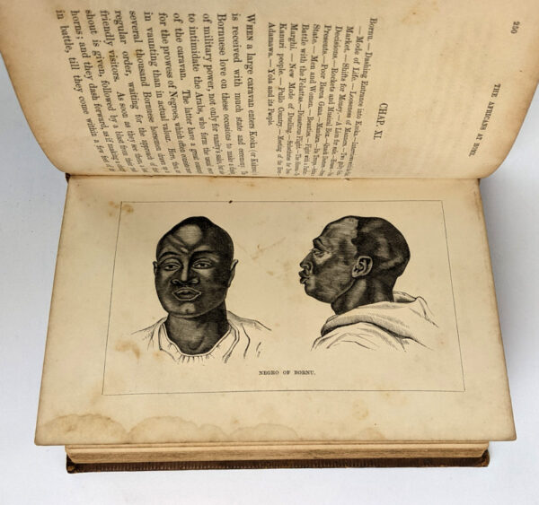 The Africans at Home - Image 6