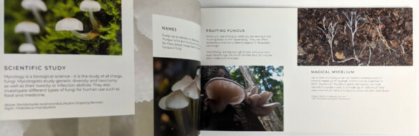 A Glorious World of Fungi - Image 4