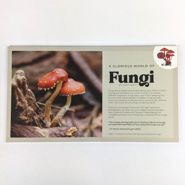 A Glorious World of Fungi - Image 5