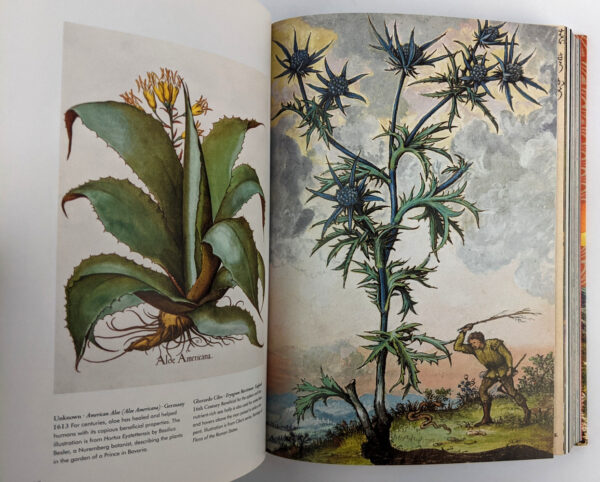 Plant Magick (The Library of Esoterica) - Image 2