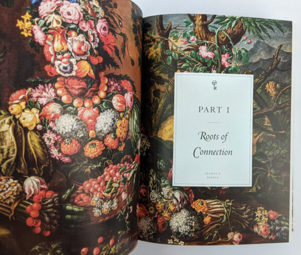 Plant Magick (The Library of Esoterica) - Image 8