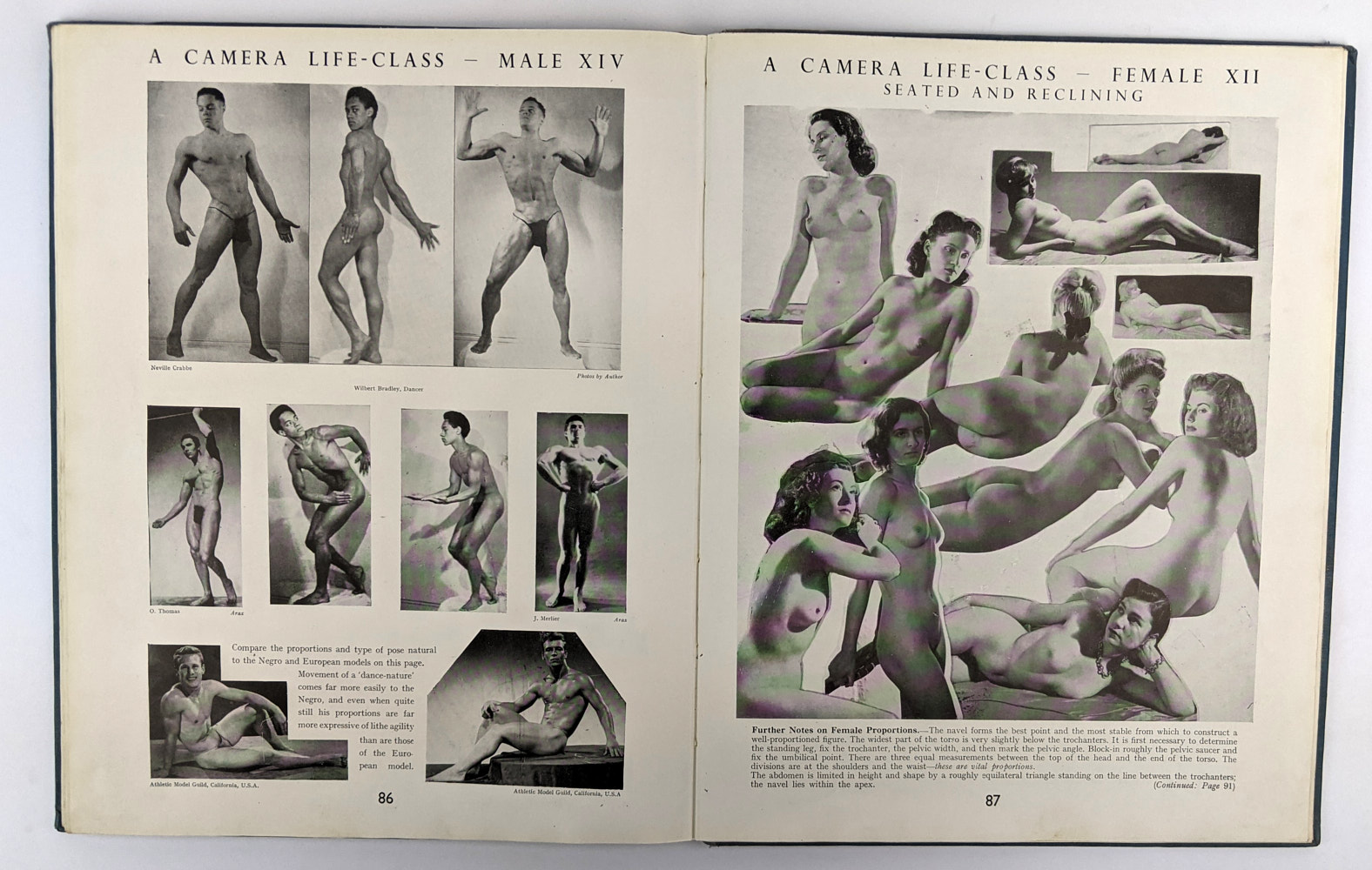 Anthropometry and Anatomy - Image 3