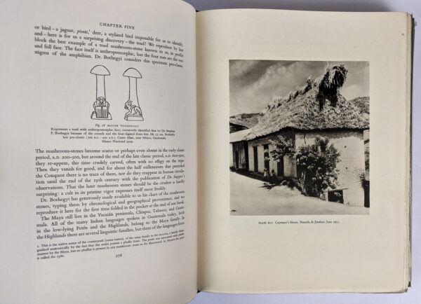 Mushrooms, Russia and History (2 Volumes) - Image 7