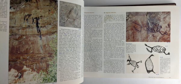 Bradshaw Art of the Kimberley - Image 4
