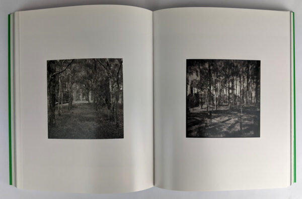 Eucalyptusdom - Image 4