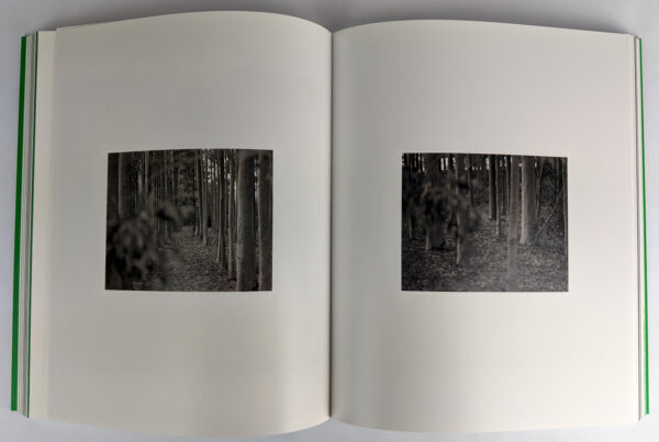 Eucalyptusdom - Image 5