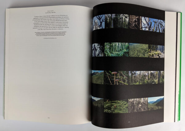 Eucalyptusdom - Image 6