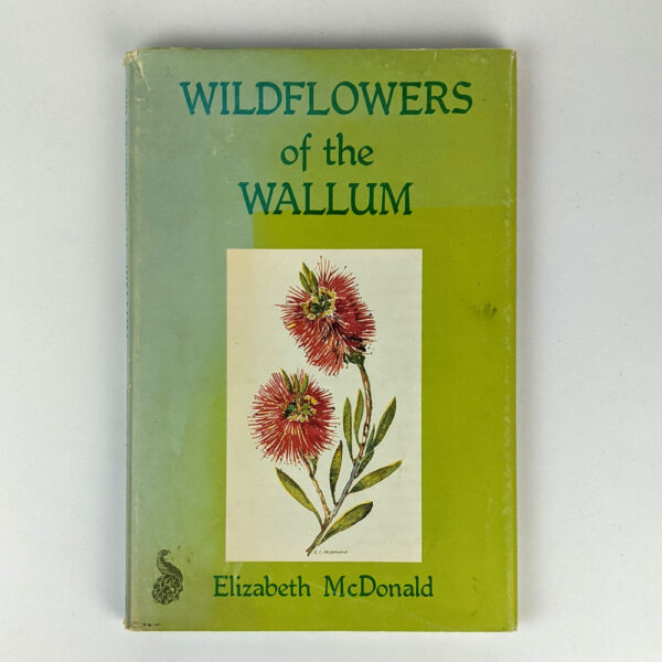 Wildflowers of the Wallum